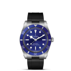 NEW TUDOR BLACK BAY 54 79000B-0002